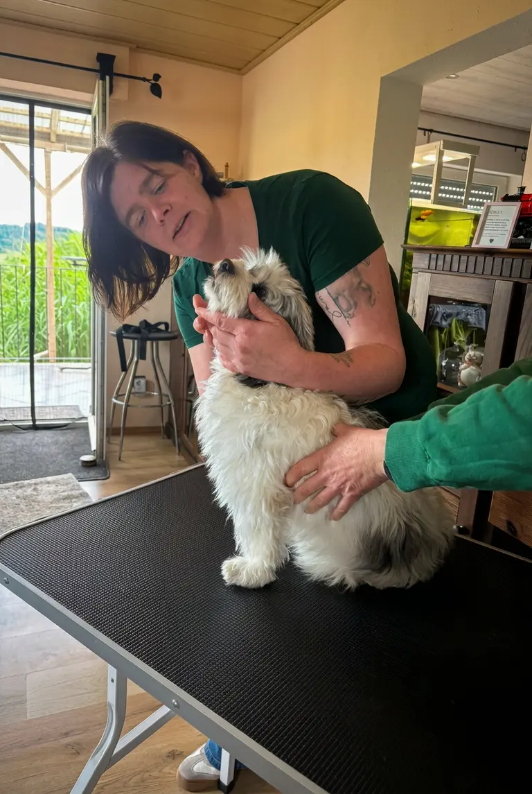 Yvonne Krüger untersucht einen kleinen weißen Hund auf dem Behandlungstisch