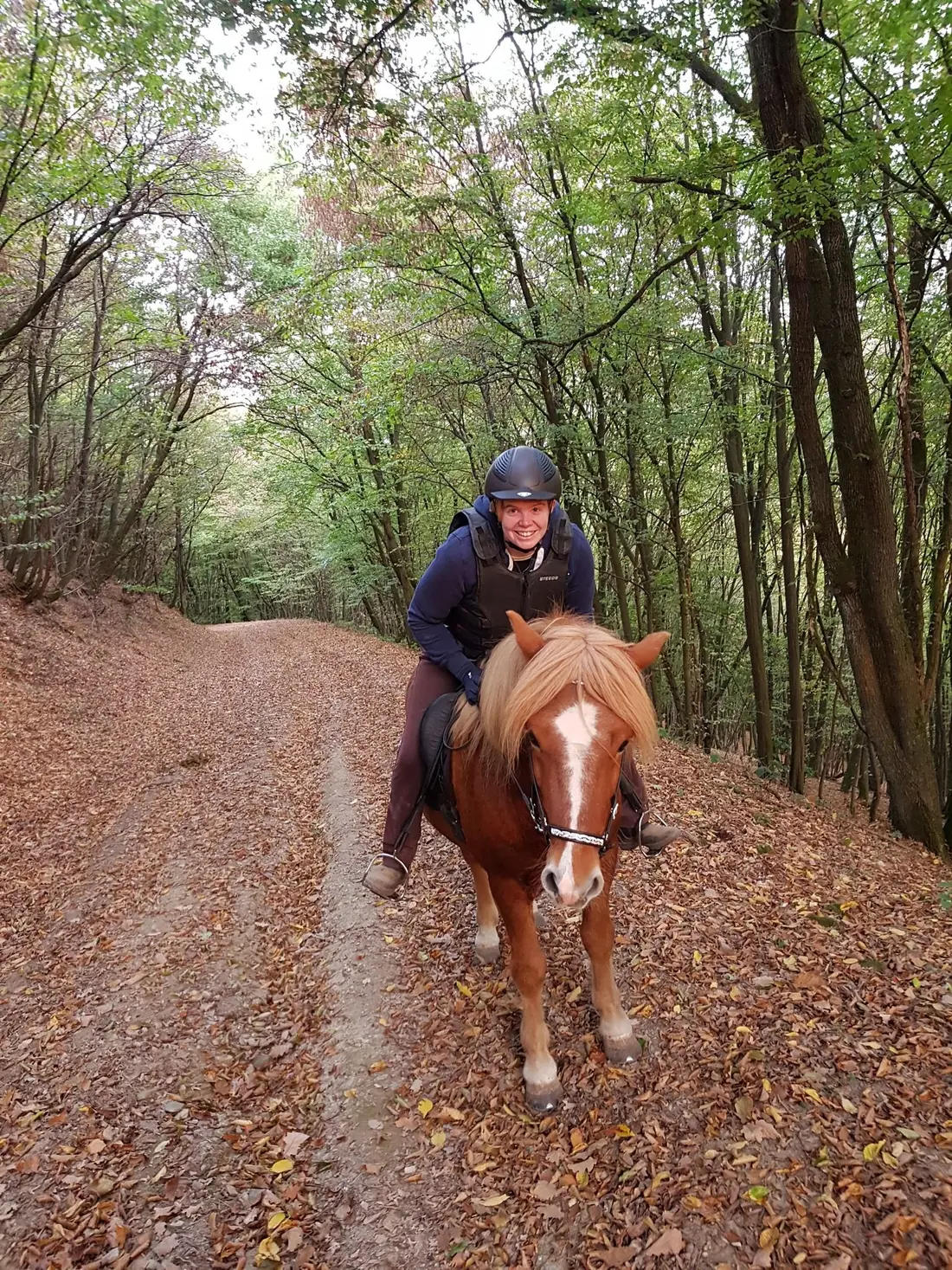 Yvonne Krüger auf ihrem Pferd auf einem herbstlichen Waldweg